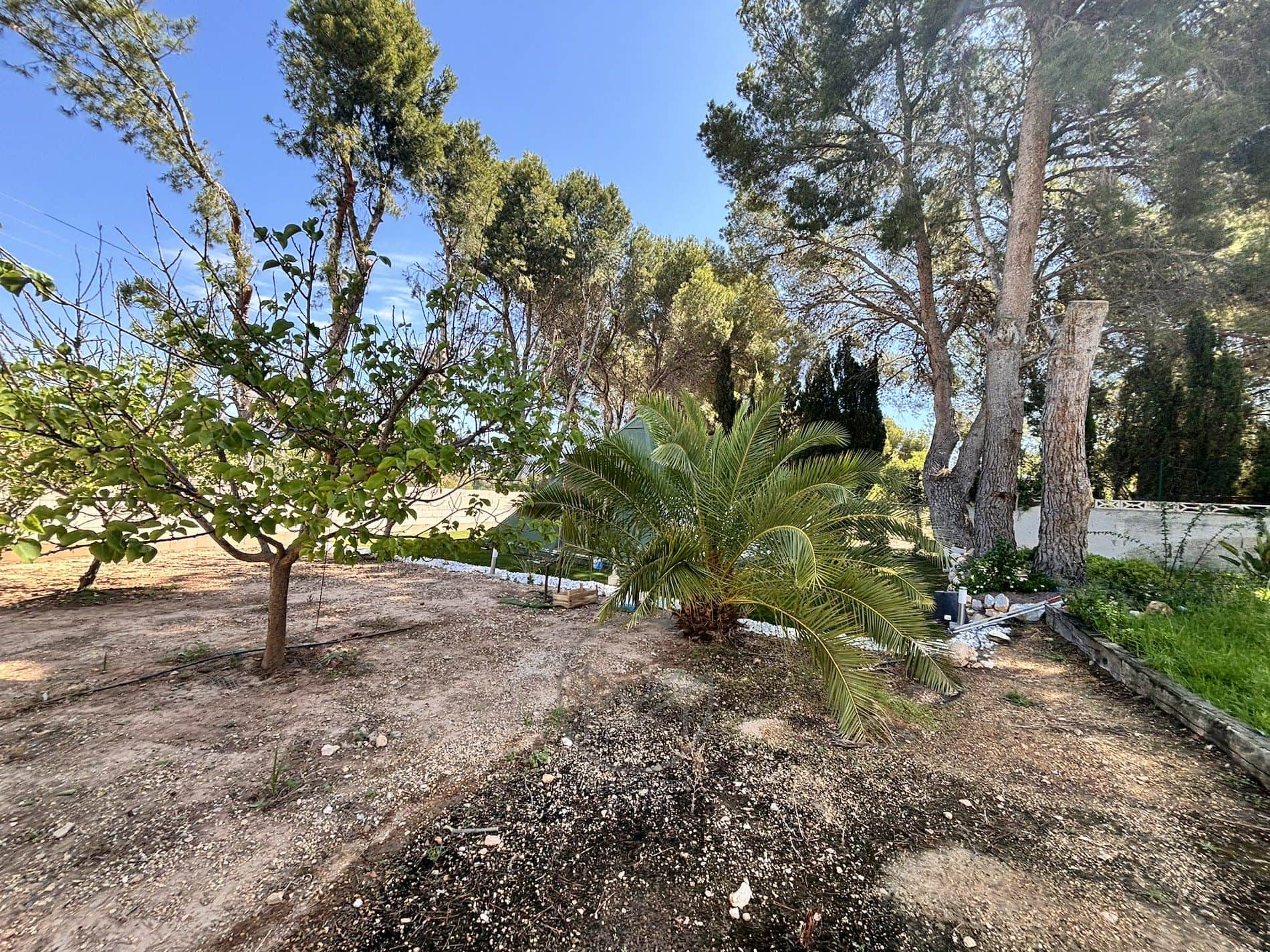 Chalet - Partida Borret, 47 - Alfas Del Pi (L') - Foto 13